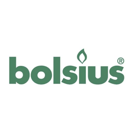 Logo Bolsius.jpg